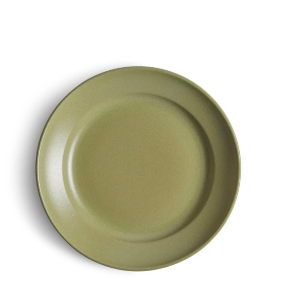 $75 New Heath Ceramics Chez Panisse Line Sorrel Green Main Plate 11" diameter 02